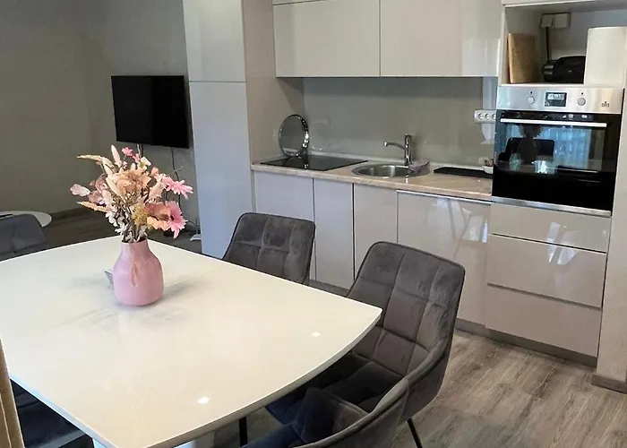 Moste 2 - Free Parking & Pool, Ev Station